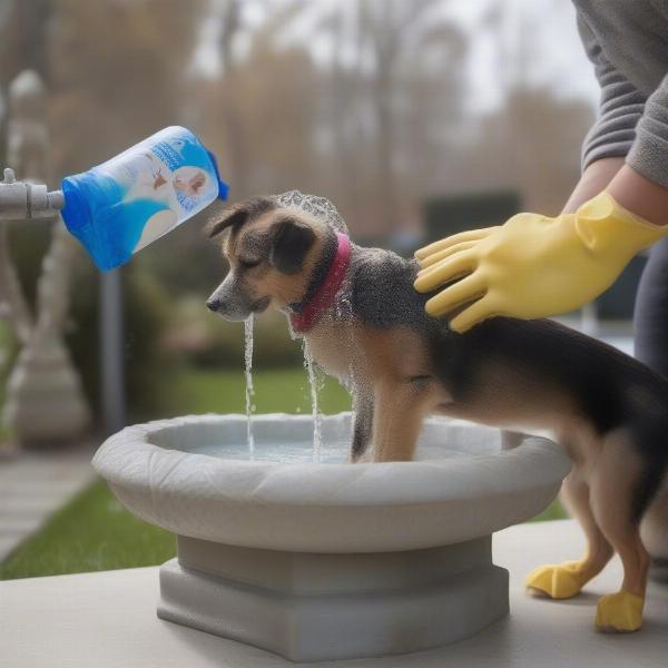 Cleaning a dog water fountain