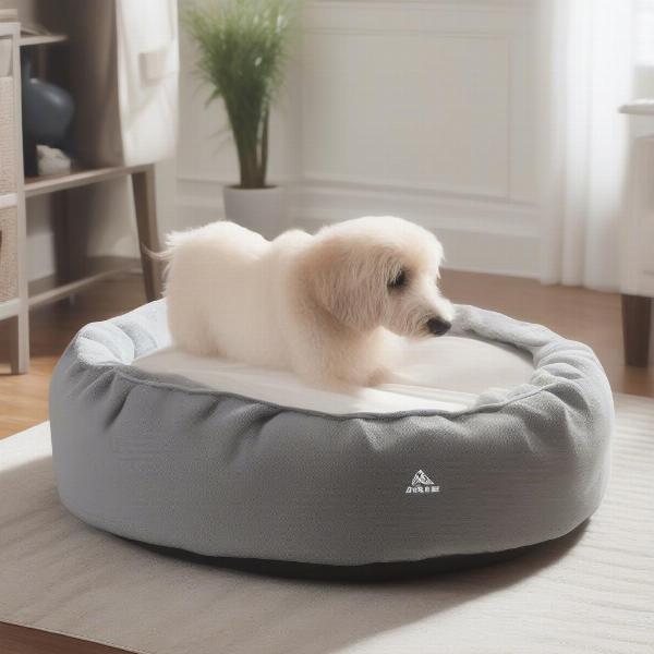 Easy Cleaning and Maintenance of Arlee Home Fashions Dog Bed