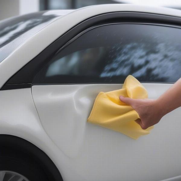 Cleaning a car door protector