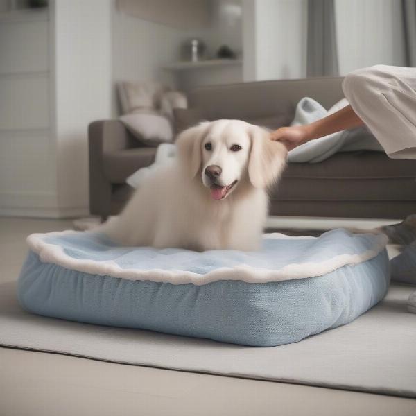 Cleaning a Dog Bed Cover