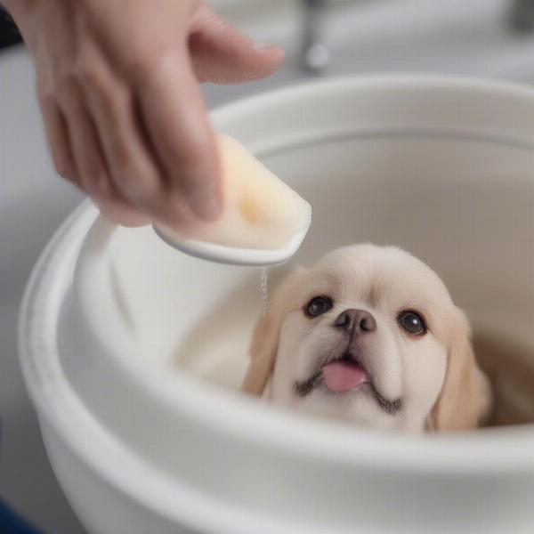 Washing a dog bowl with soap and water.