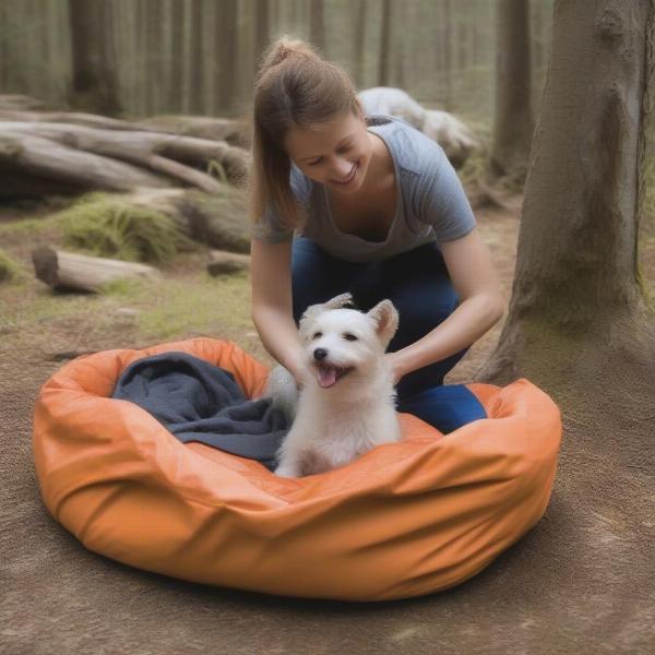 Cleaning a dog camping bed with a damp cloth.