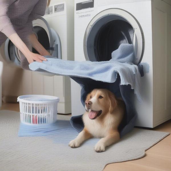 Owner washing a dog crate bed