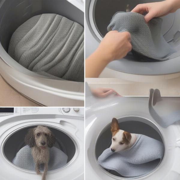 Cleaning a Dog Mat