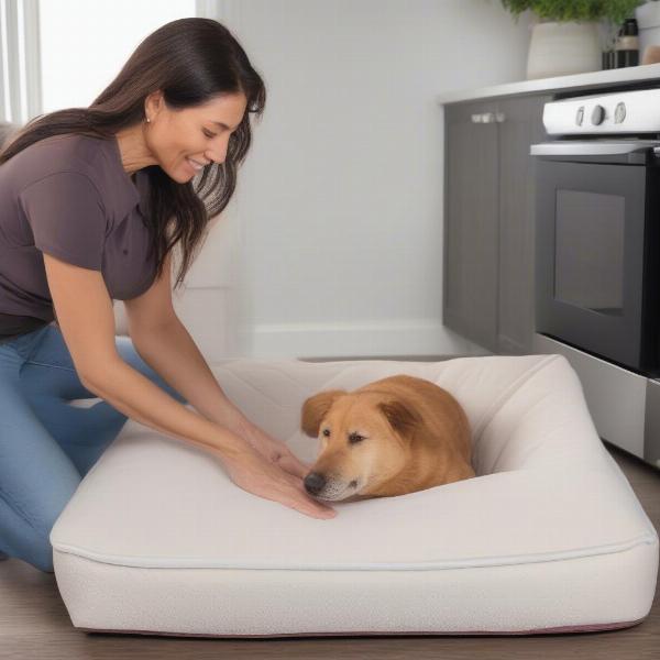 Cleaning a dog's memory foam mattress cover