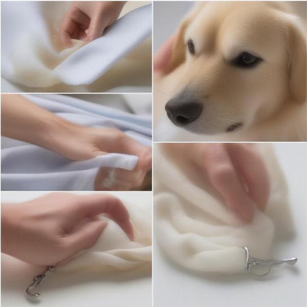 Cleaning a dog's pearl collar