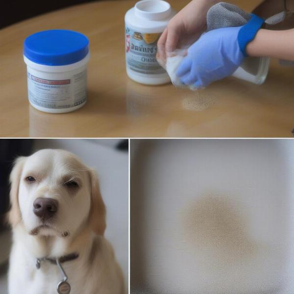 Cleaning dog urine from cement using baking soda and vinegar