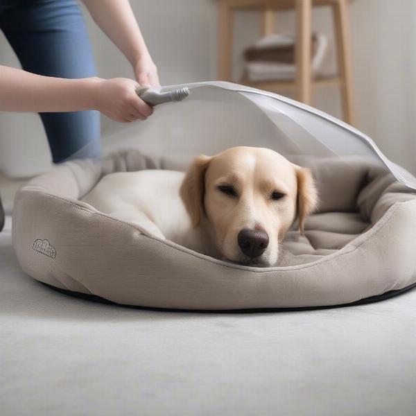 Cleaning a dome dog bed is important for hygiene.