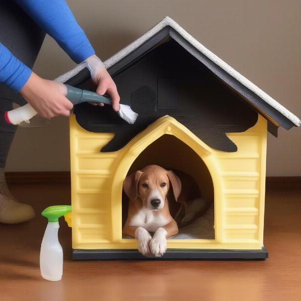 Cleaning a Heated Dog House