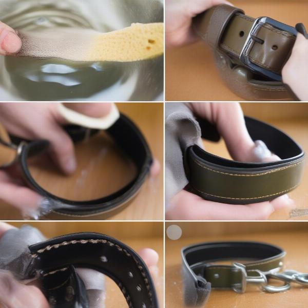 Cleaning an Olive Dog Collar