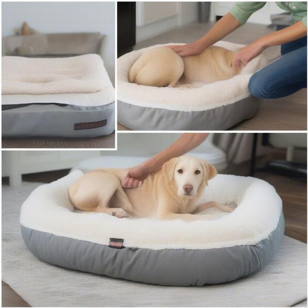 Cleaning a Sherpa Dog Bed