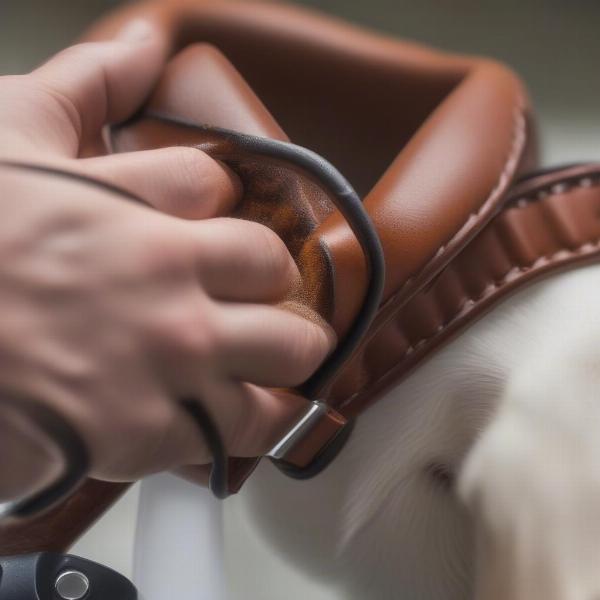 Cleaning a Soft Leather Dog Collar