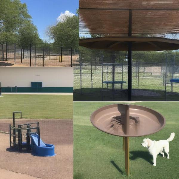 Dog park amenities and activities.