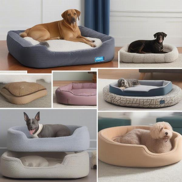 Comfortable dog beds on sale