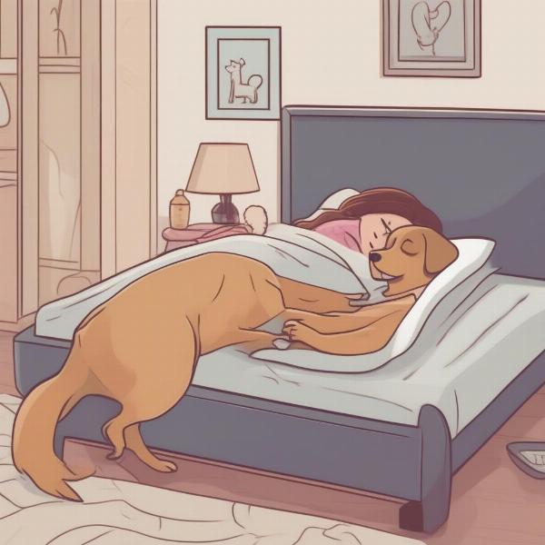 Consistent bedtime routine for a dog