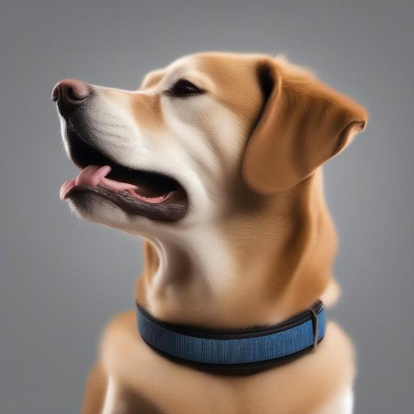 Benefits of a Cushioned Dog Collar