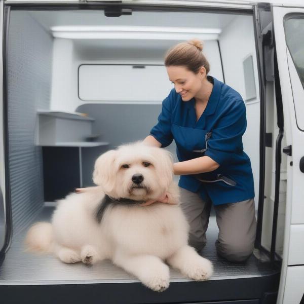 Derby Mobile Dog Groomer Interacting with a Dog