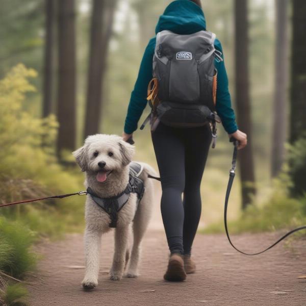 Safe Dog Walking with a Backpack