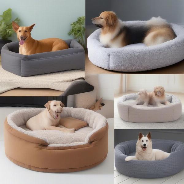 Different Types of Dog Bed Sides