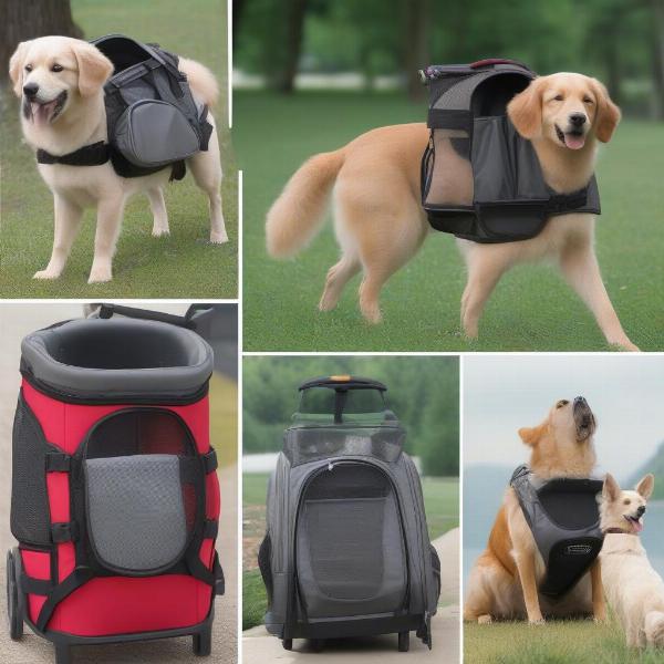 Various types of dog carrier backpacks