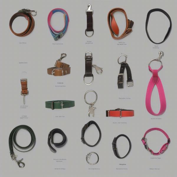 Different Dog Lead and Collar Set Styles