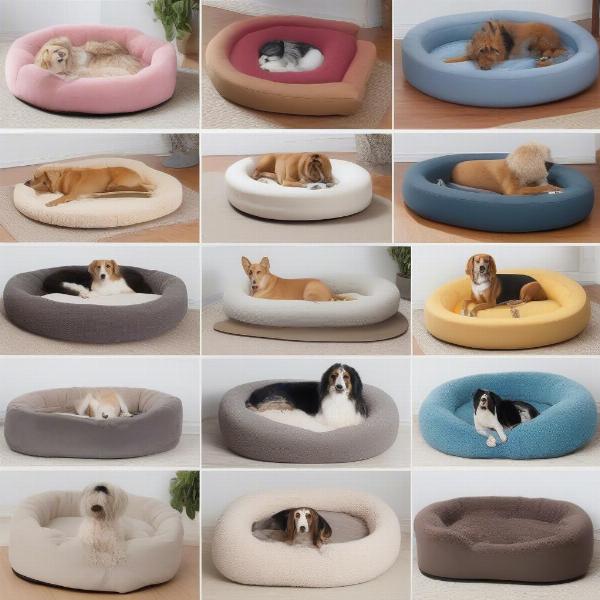 Various shapes of foam dog beds for different sleeping styles