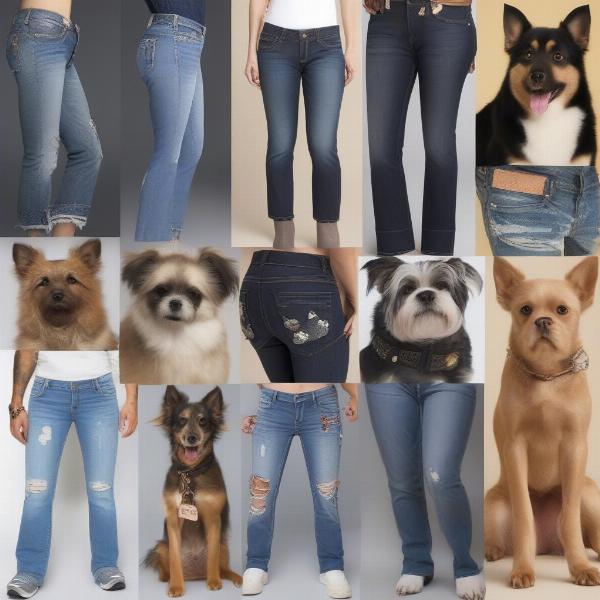 Different styles of dog jeans