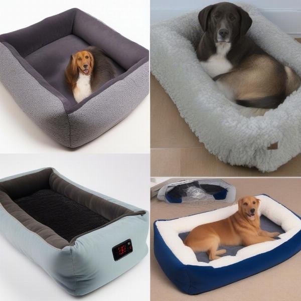 Various chilli dog beds - self-heating, electric, thermal mats, bolster beds