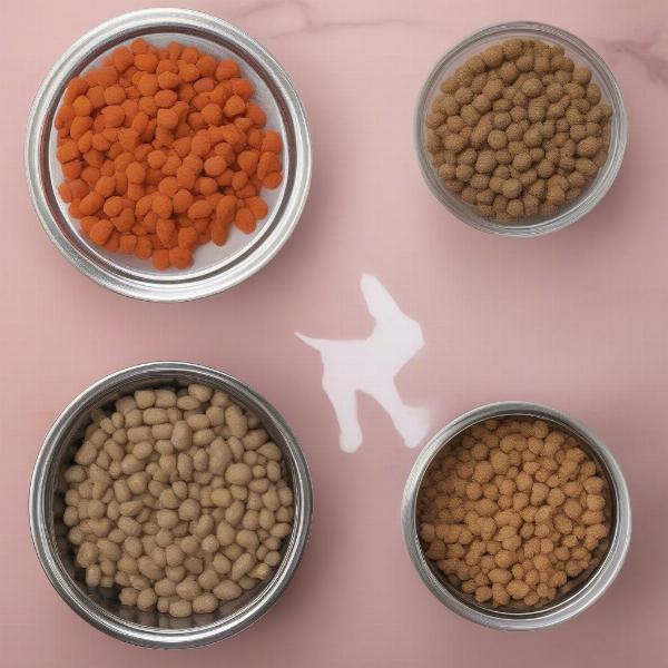 Different types of dog food