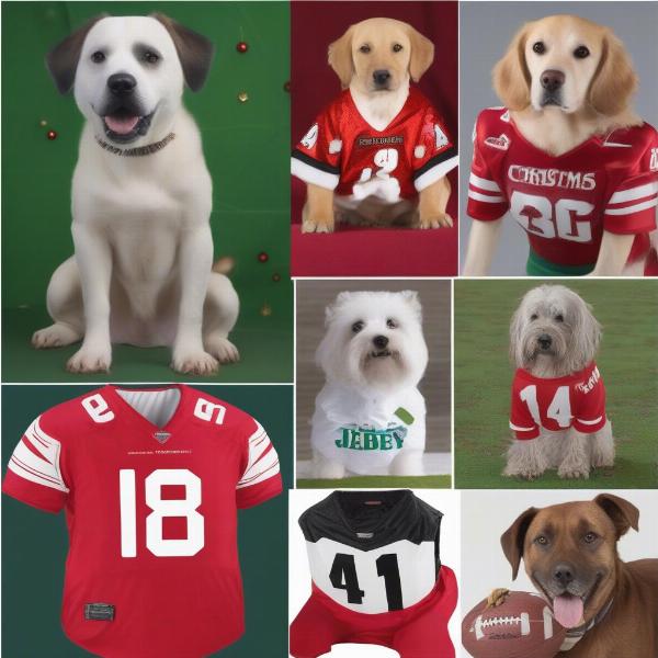 Different Types of Dog Jerseys