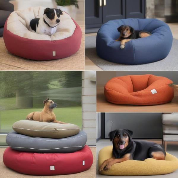 Different types of dog bean bags