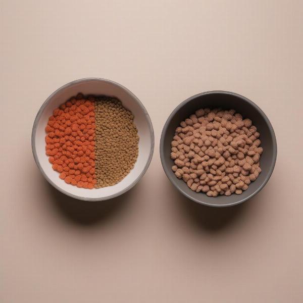 Different types of dog food: kibble, wet food, and raw ingredients