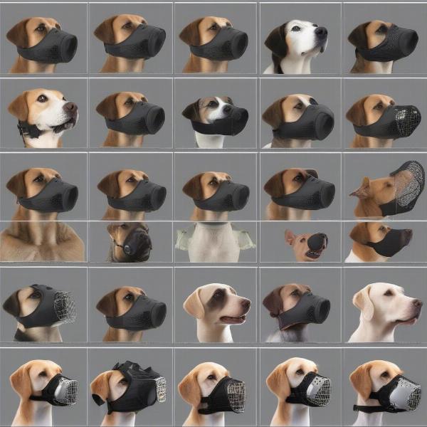 Different Types of Dog Muzzles