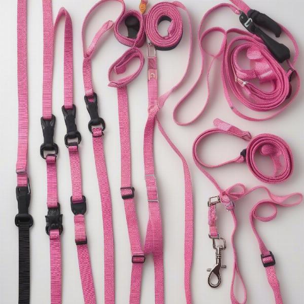 Different Types of Pink Dog Leads