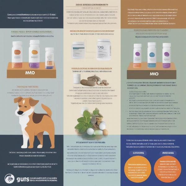 Different types of prebiotics for dogs: A visual comparison of different prebiotic supplements available for dogs.