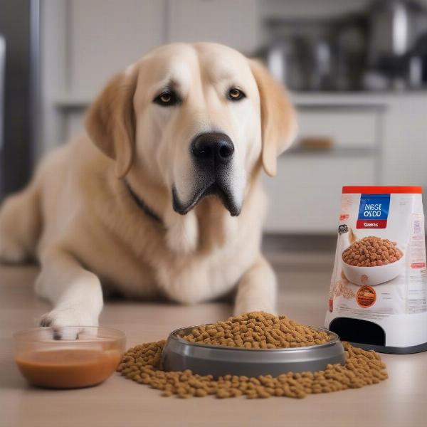 Large dog nutrition and feeding