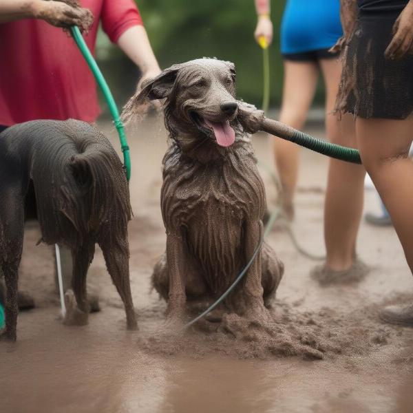 Cleaning Up After the Contest