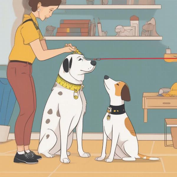 Measuring a dog for a Disney collar