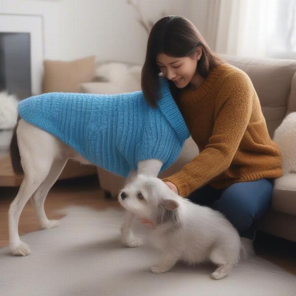 Putting a blue sweater on a dog