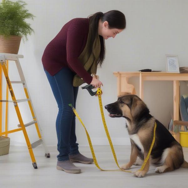 Measuring a dog for a travel crate