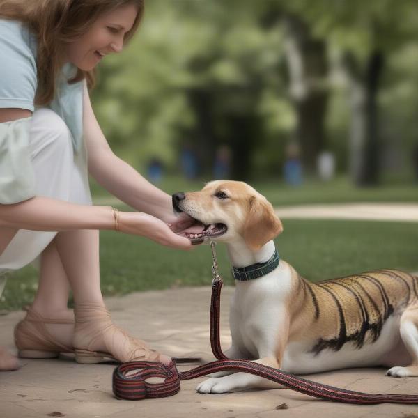 Dog and Garter Snake Encounter