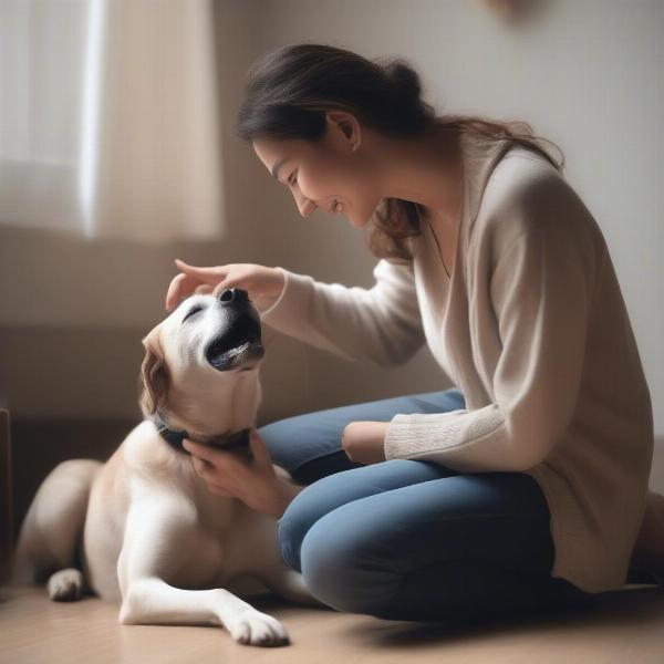 Dog and Owner Bonding