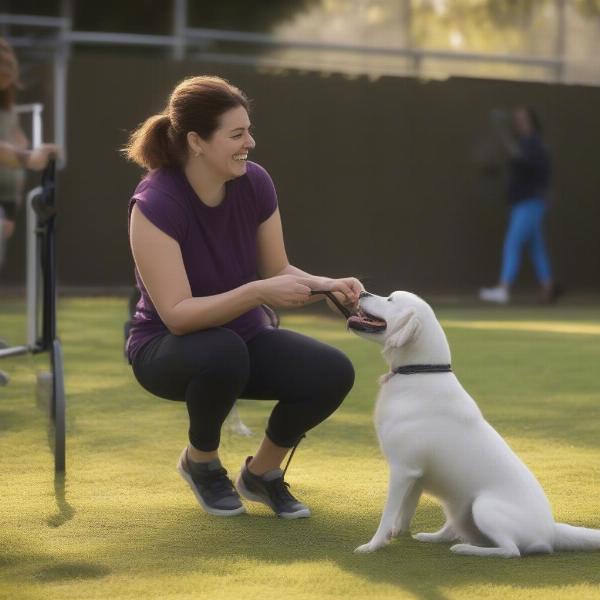 Dog and Owner Playing Hoopers