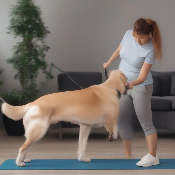 Dog Back Leg Exercises