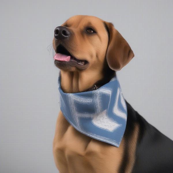 Choosing the right size dog bandana and collar