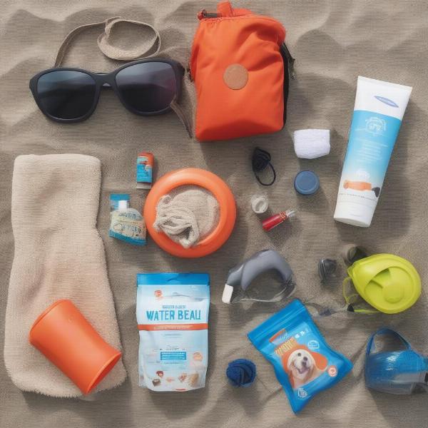 Essential items for a dog beach trip