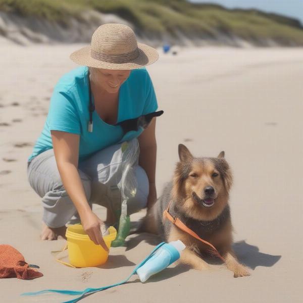 Practicing Responsible Dog Ownership on the Beach