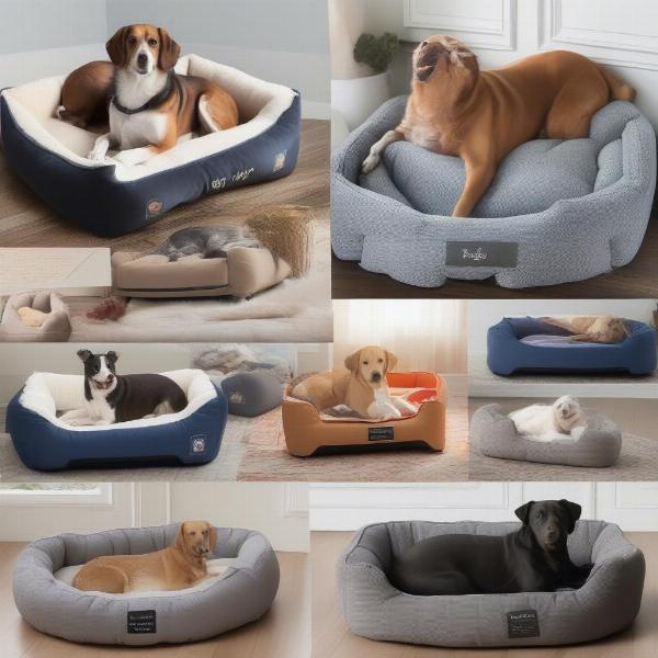 Dog beds for different budgets