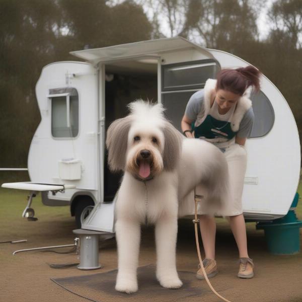 A dog being groomed by a mobile groomer at a caravan park.