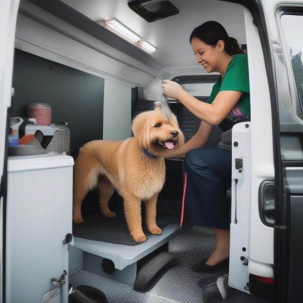 Dog being groomed inside a mobile van in Dublin